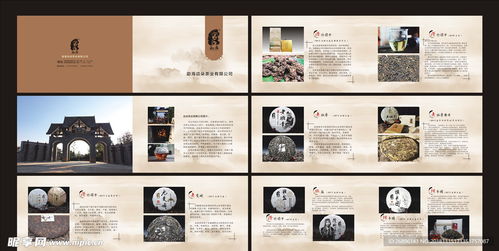 茶韻盡顯 專業(yè)茶葉產(chǎn)品畫冊(cè)設(shè)計(jì)圖代理代辦服務(wù)